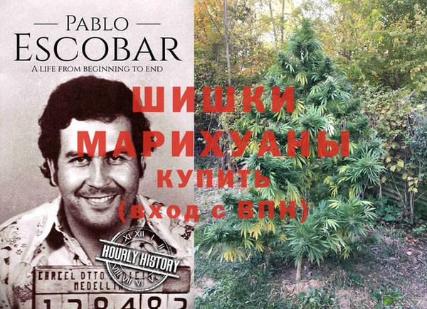 дмт Волгодонск