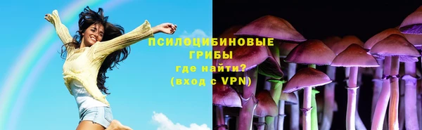 молекула духа Горняк