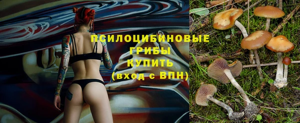 круглые Горно-Алтайск
